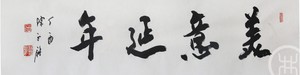 美意延年