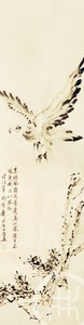 鹰 素练风霜起，苍鹰画作殊 
