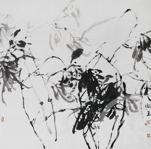 《水墨皂荚》