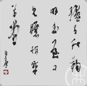 才看秋菊名书屋，又品腊梅点草堂4